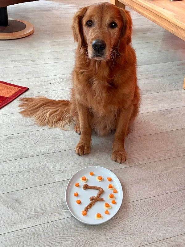 B-Wurf 7. Geburtstag