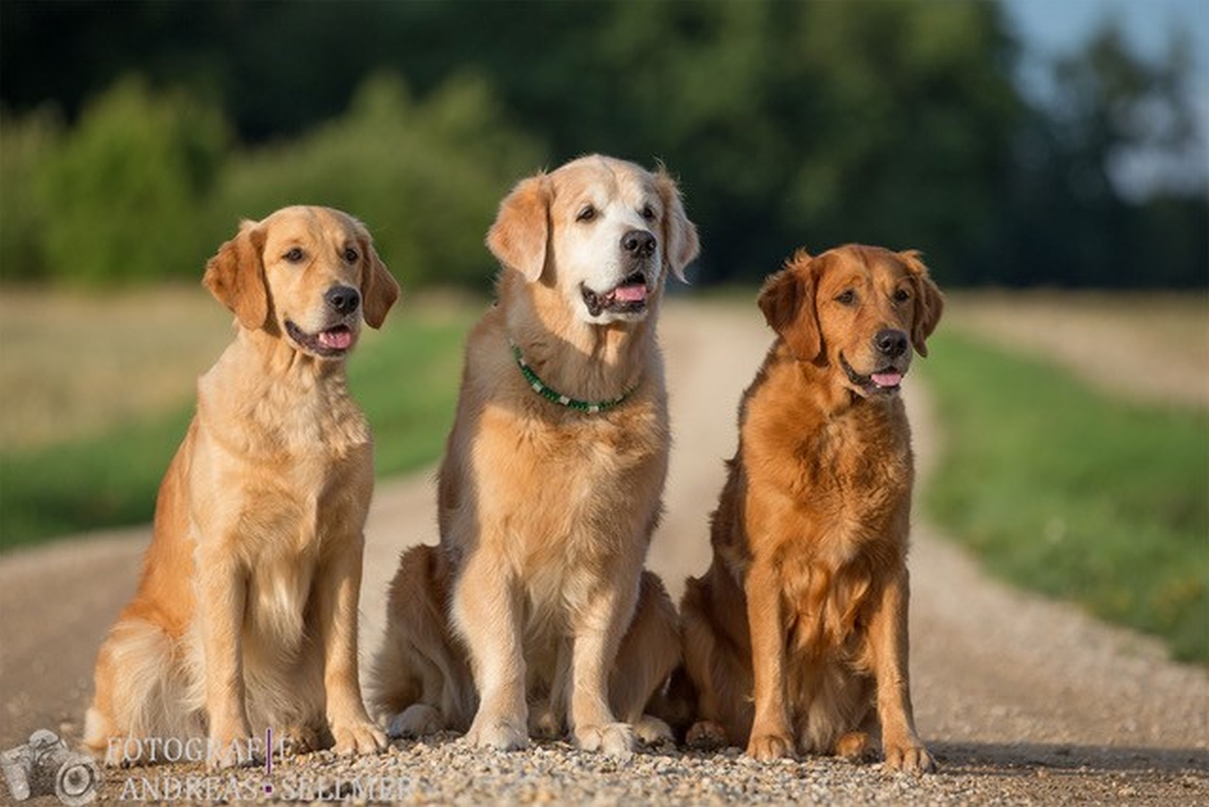 v.l. Nava, Enrico, Hope