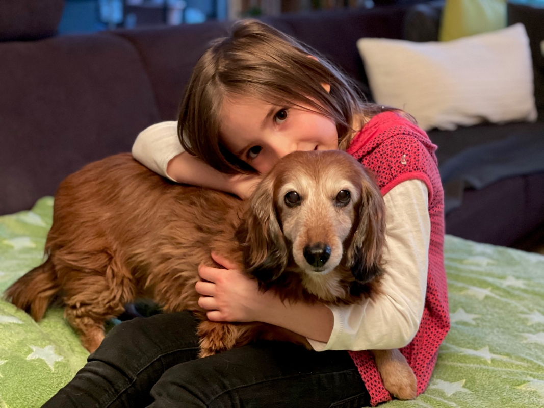 Dackedame Daily 13-jährig