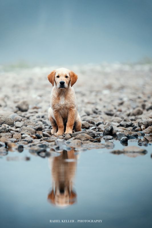 Nayla am 11. September 2021