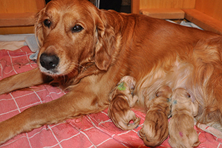 8454695579 bc2e89070e k