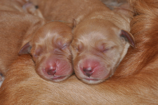 8455788844 d28ecd92f5 k