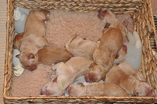 8455789038 adb552d824 k