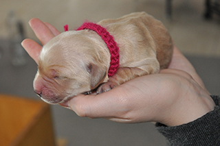 8455799104 ca5be1e83d k