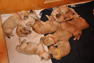 8478424791 1fb9fe11bb k