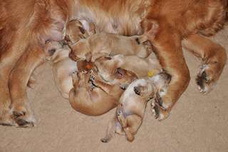 16018024117 dca5e5d18b z