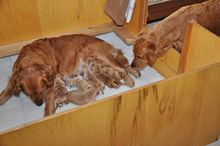 16221051065 b804a91214 z