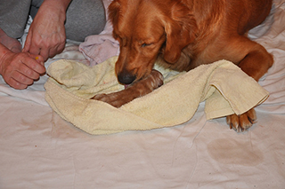 27368684513 b1b0b9a22c z