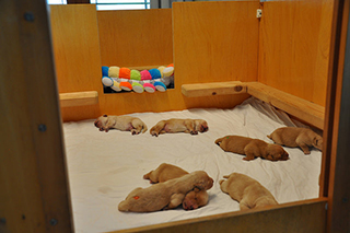 27370817644 04db934d4b z