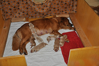 27703938810 7af5c9b6cb z