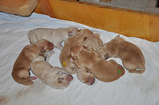 27703940270 64938557d7 z