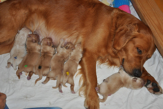 27880523342 12b59c2b00 z