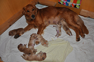 27906094011 3cce5c848e z