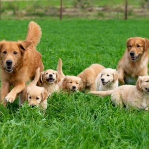 Mama, Papa und Kids am 30.09.2018