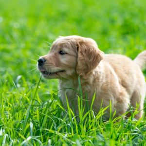 Mama, Papa und Kids am 30.09.2018