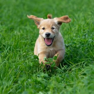 Mama, Papa und Kids am 30.09.2018