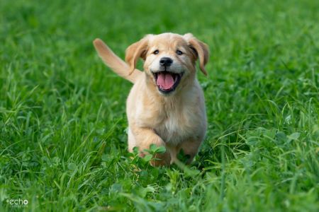 Mama, Papa und Kids am 30.09.2018