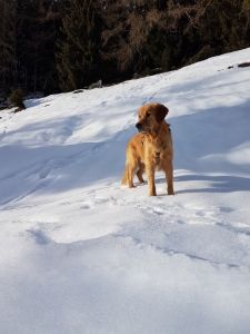 Fynn&nbsp;(Bailey, m) am 29.12.2018