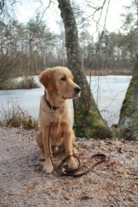 Juri&nbsp;(Flash, m) am 23.01.2019