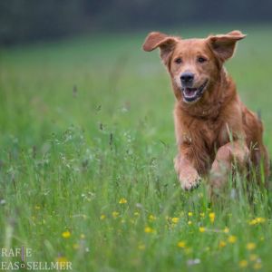 Aileen am 21.05.2019