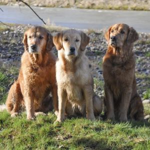 Amira, Fly und Aileen am 16.03.2019