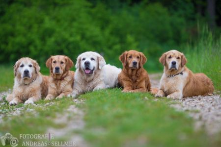 v.l. Ronco, Csilla, Campino, Aileen und Enrico am 22.05.2019
