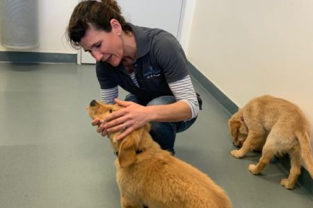 Marley und Nala am 14.02.2020 bei der Tier&auml;rztin in der Klinik Aarau West.