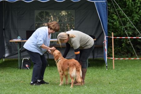 Mit Fly am Wesens- und Anlagetest des RCS in Frauenfeld&nbsp;am 06.09.2020