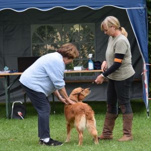 Mit Fly am Wesens- und Anlagetest des RCS in Frauenfeld&nbsp;am 06.09.2020