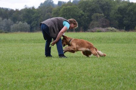 Fly am Wesens- und Anlagetest des RCS in Frauenfeld&nbsp;am 06.09.2020