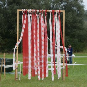 Mit Fly am Wesens- und Anlagetest des RCS in Frauenfeld&nbsp;am 06.09.2020