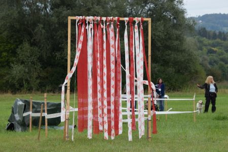 Mit Fly am Wesens- und Anlagetest des RCS in Frauenfeld&nbsp;am 06.09.2020