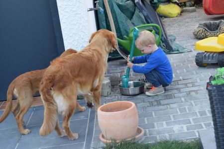 Marley in Wolken (D) am 11.09.2020