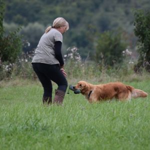 Mit Fly am Wesens- und Anlagetest des RCS in Frauenfeld&nbsp;am 06.09.2020