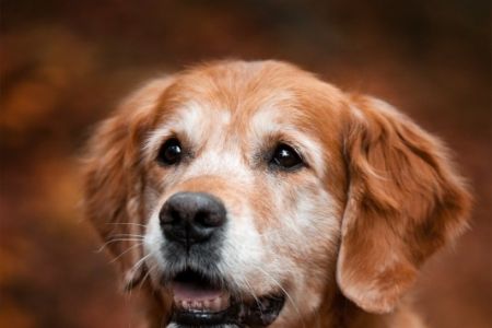 Amira beim Fotoshooting mit Rahel Keller am 08.11.2020