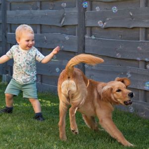 Marley (Gadi, m) am 12.04.2020