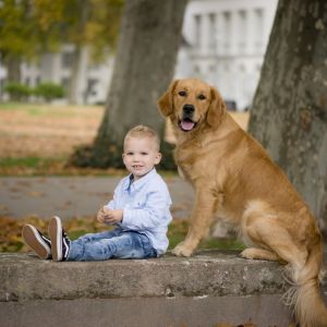 Levi und Marley in Wolken (D)&nbsp;am 11.11.2020