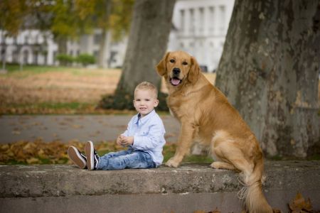 Levi und Marley in Wolken (D)&nbsp;am 11.11.2020