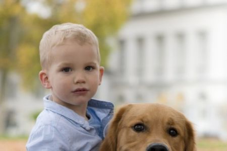 Levi und Marley in Wolken (D)&nbsp;am 11.11.2020
