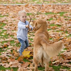 Levi und Marley in Wolken (D)&nbsp;am 11.11.2020