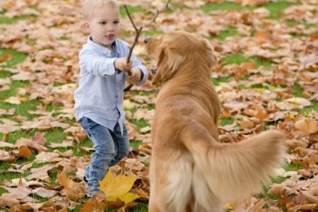 Levi und Marley in Wolken (D)&nbsp;am 11.11.2020