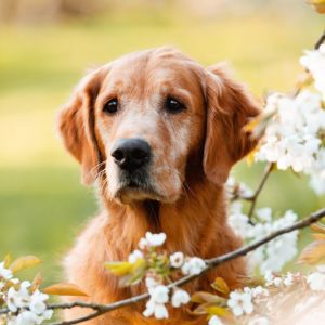 Aileen am 27.04.2021