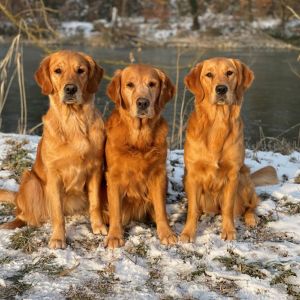 Aileen mit ihren T&ouml;chtern (v.l.n.r.: Fly,&nbsp;Aileen, Hope) am 15.02.2021