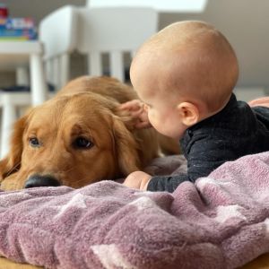 Marley&nbsp;(Gadi, m) am 27.01.2021