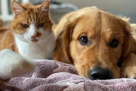 Marley&nbsp;(Gadi, m) am 27.01.2021