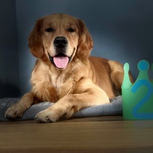 Marley&nbsp;(Gadi, m) am 07.11.2021