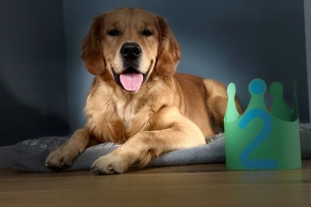 Marley&nbsp;(Gadi, m) am 07.11.2021