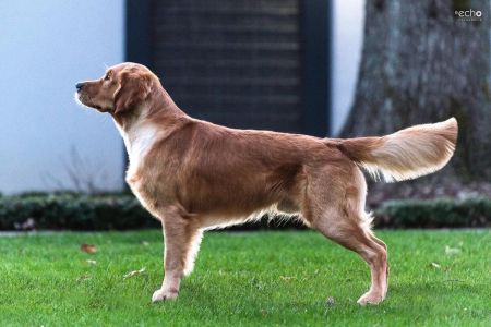 Marley&nbsp;(Gadi, m) am 28.02.2022