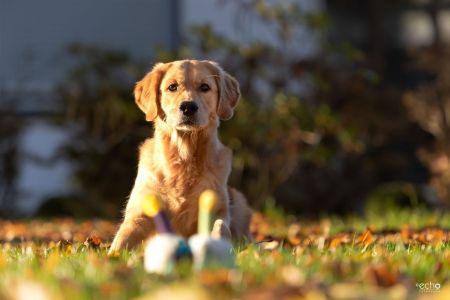 Nala (Gaya, w) am 21.11.2021