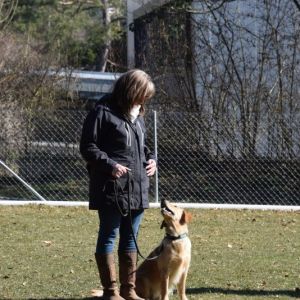 Nayla of everlasting golden dreams am 13.03.2022